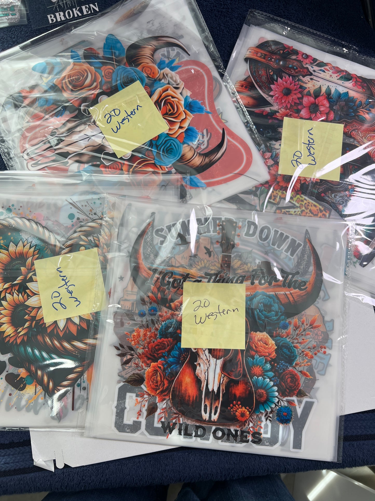 20 Piece DTF Grab Bag All Western