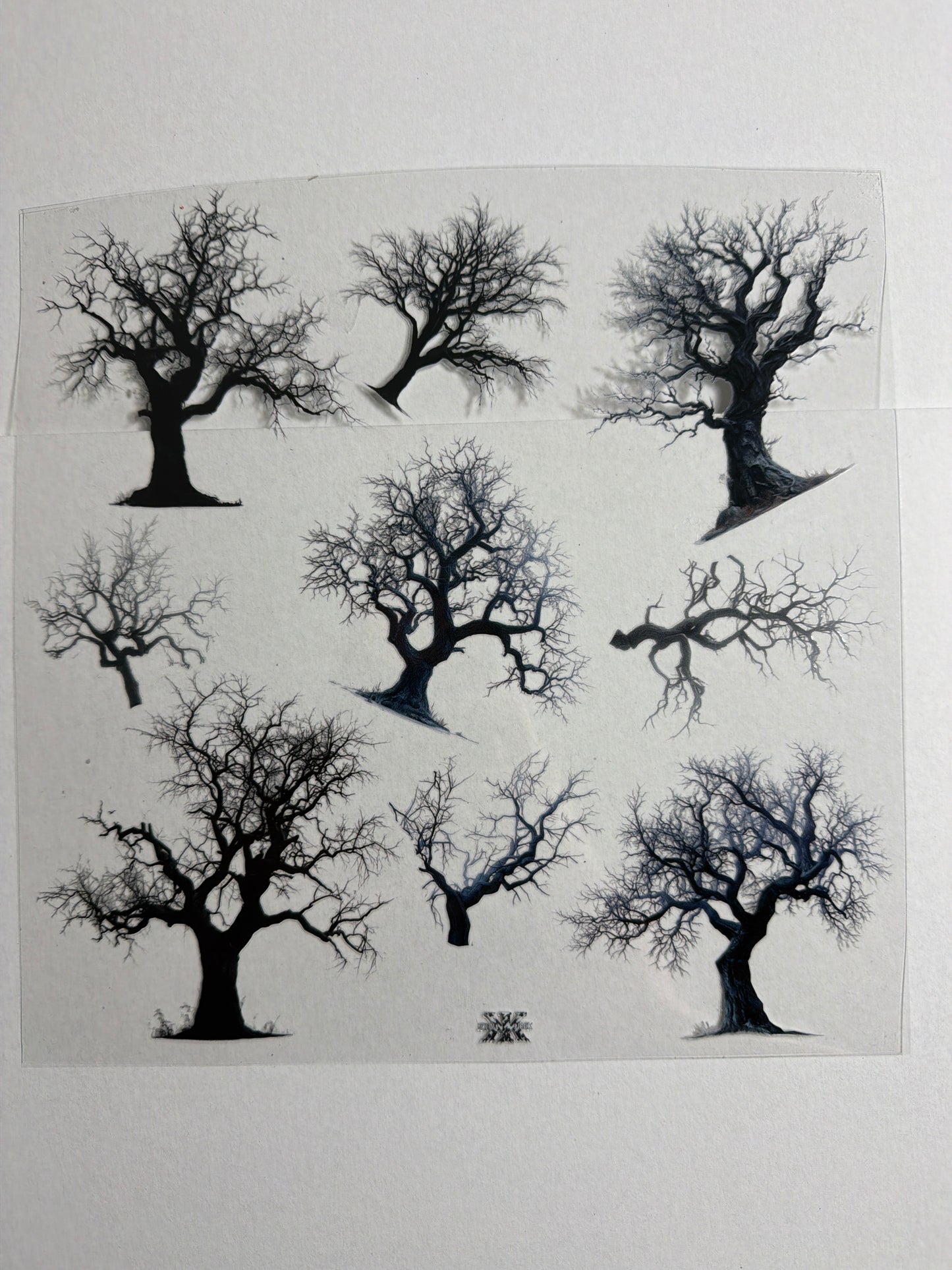 E 824 Creepy Trees