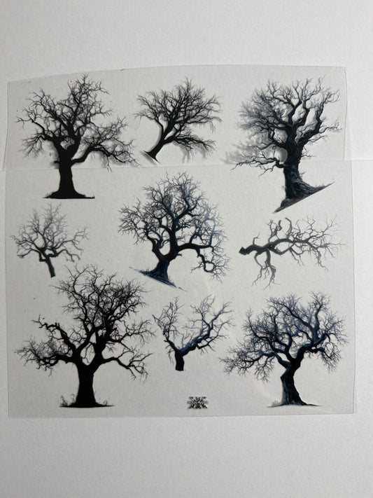 E 824 Creepy Trees