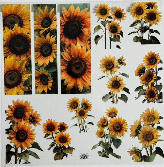 E 594 New 5/30 Sunflower Garden